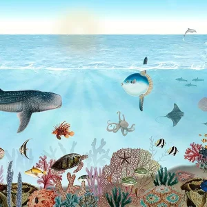 Sir Edward – behang Mural Kikki Belle Ocean lookbook