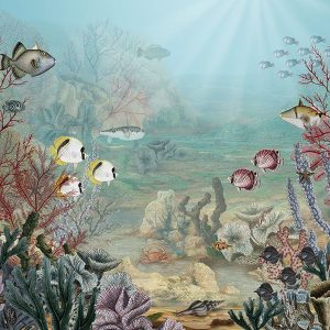 Sir Edward – behang Mural Coral creatures