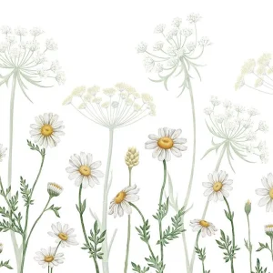 Sir Edward – behang Mural Kikki Belle Dazzling Daisies white