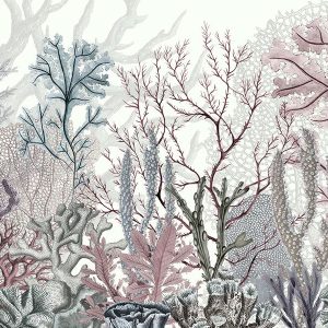 Sir Edward – behang Mural Ocean wonders